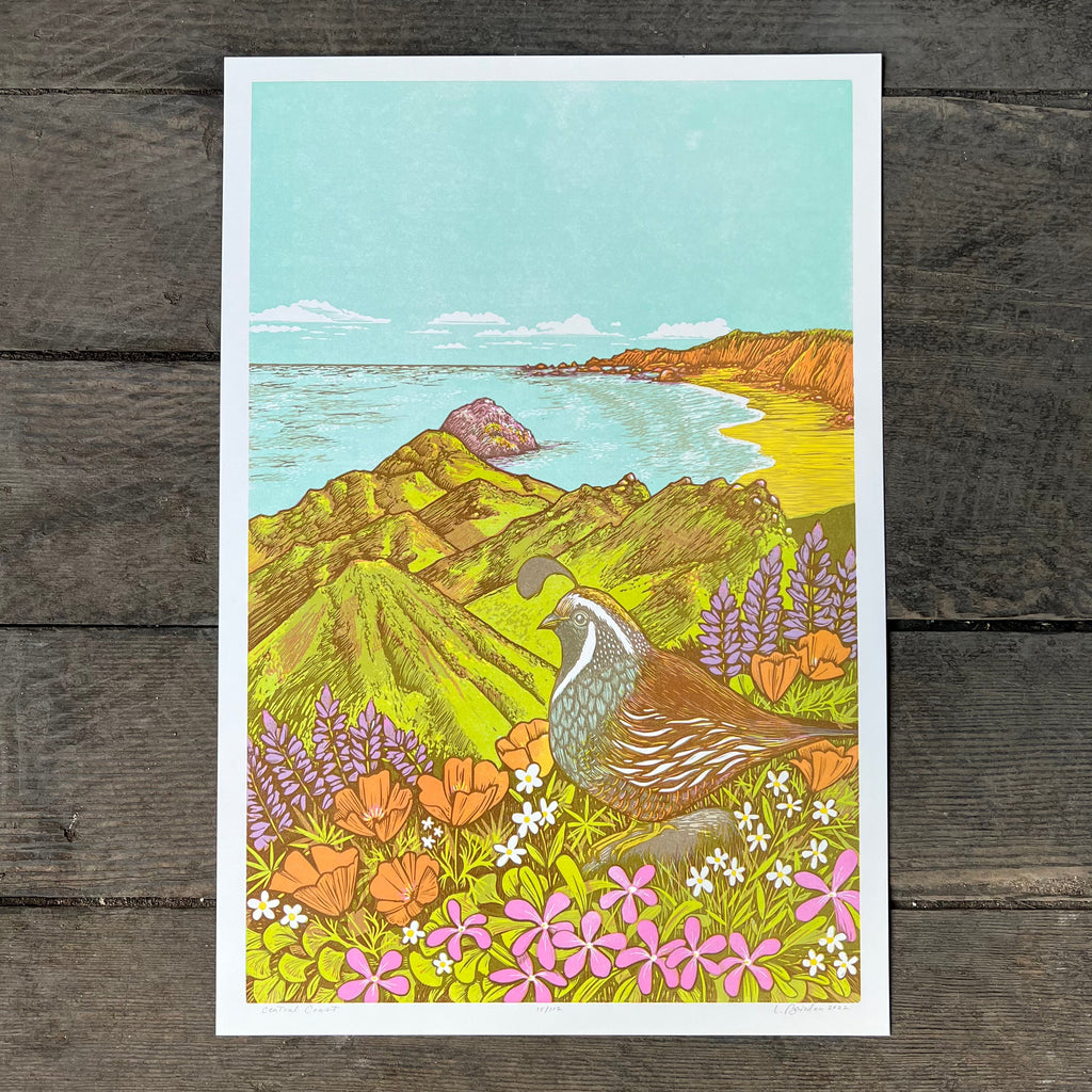 Central Coast - Print