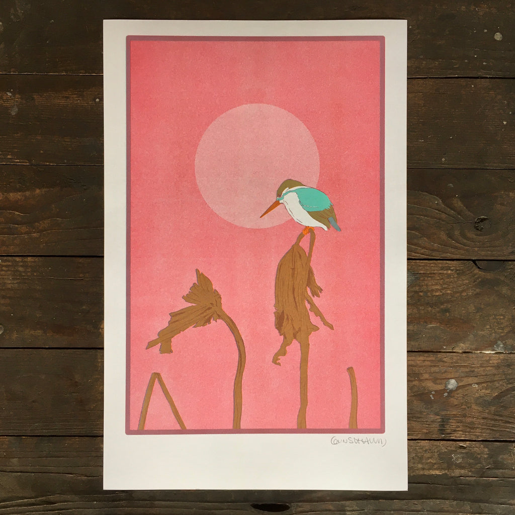 Kingfisher - Print
