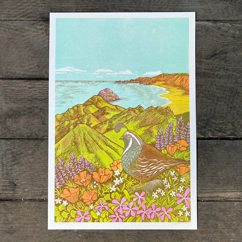 Central Coast - Print