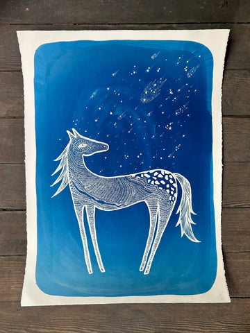 Cosmos for Pony - Cyanotype