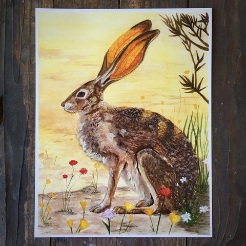 Desert Hare - Print