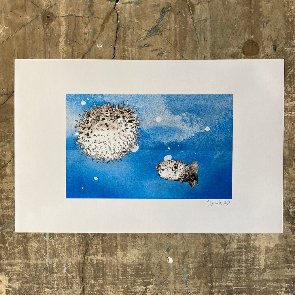 Pufferfish - Print