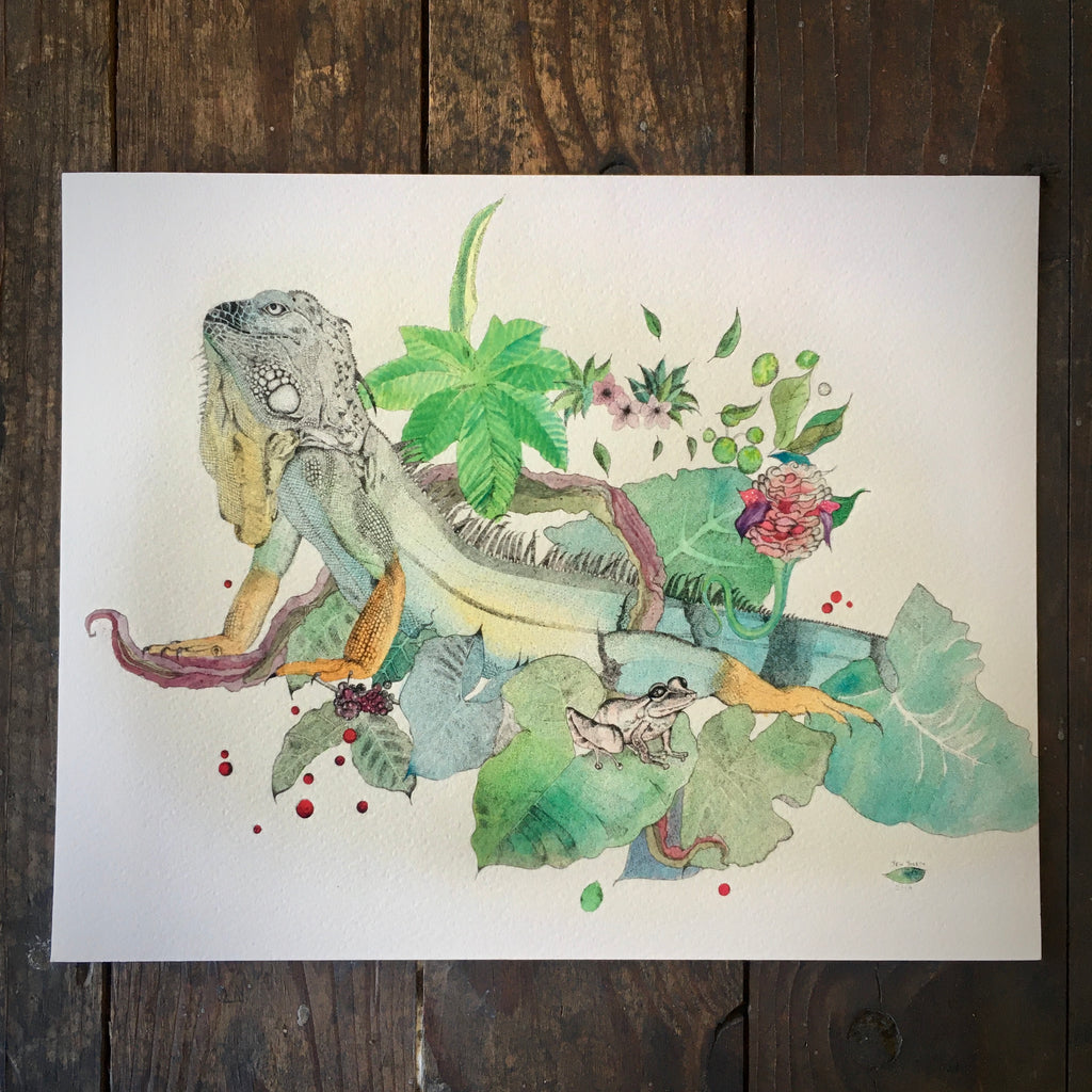 Iguana, Coqui Frog, Elephant Ear, Honeycomb Ginger & Coffe Bean Plant - Archival Print