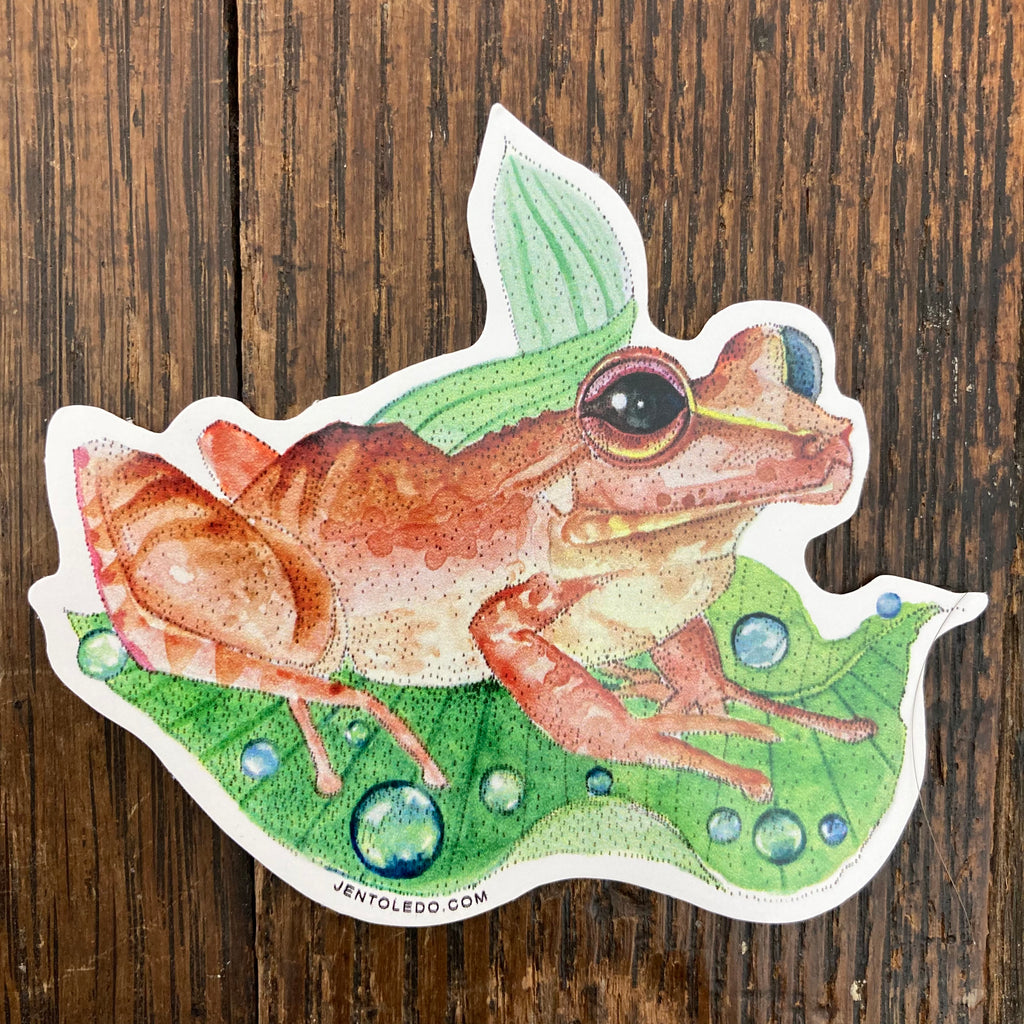 Coqui Frog - Sticker