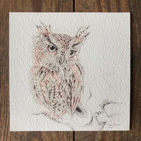 Pink Owl - Print