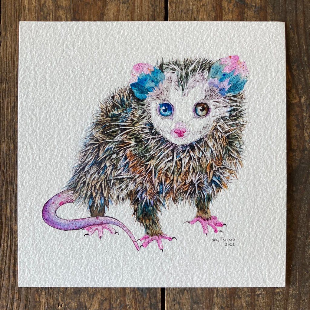 Opossum Joey - Print
