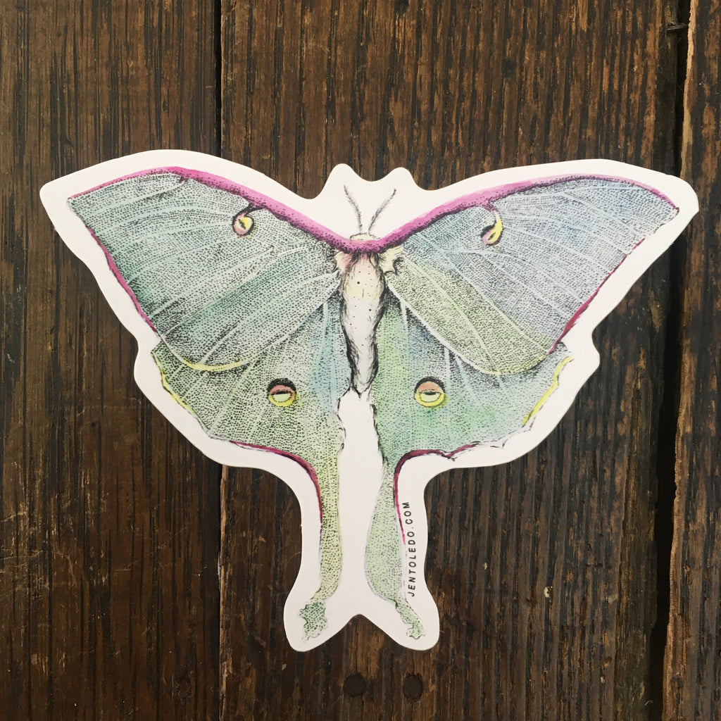 Luna Moth - Sticker
