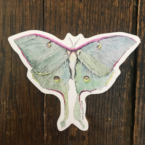 Luna Moth - Sticker