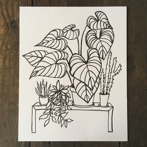 Indoor Plants - Print