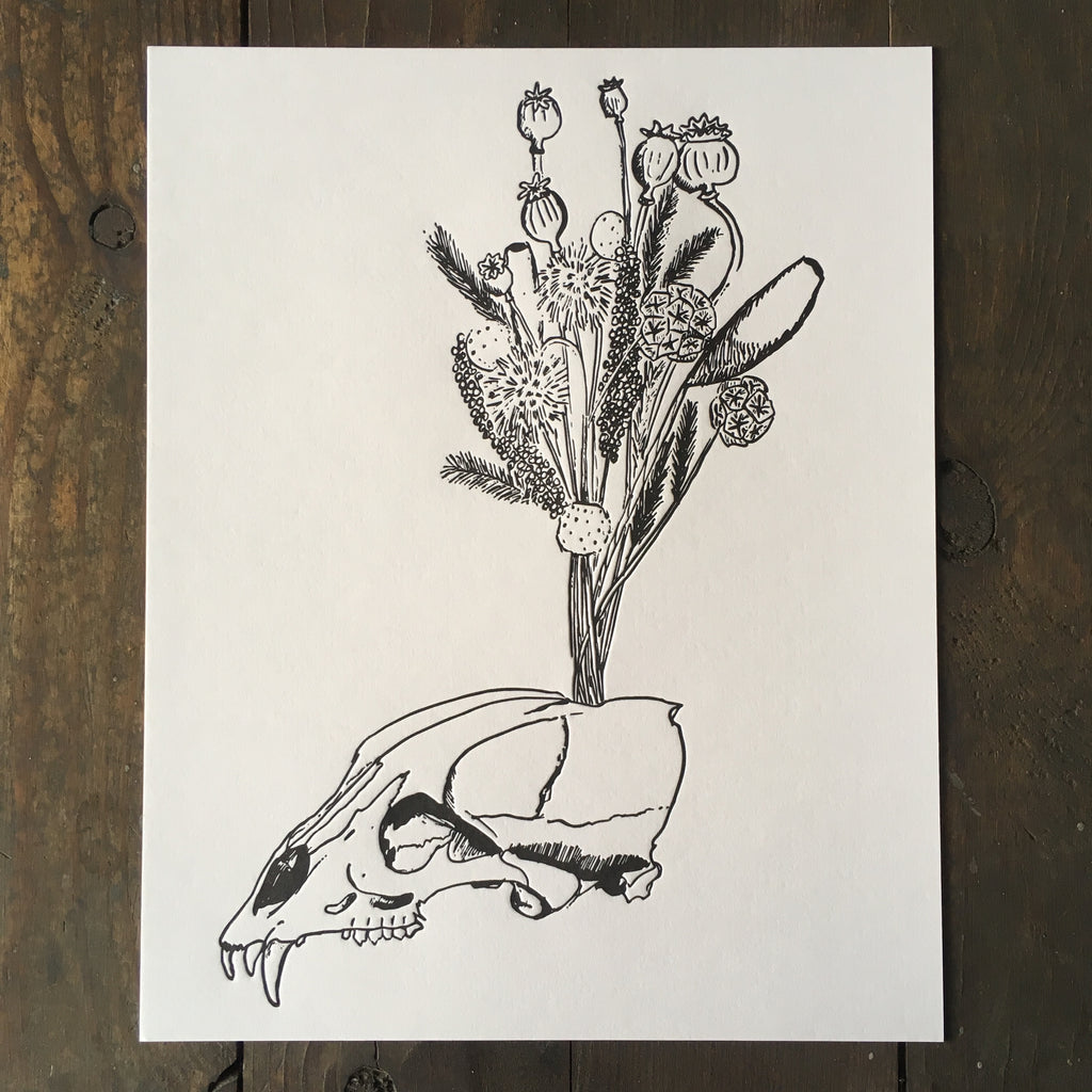 Possum Skull With Dried Flowers - Print
