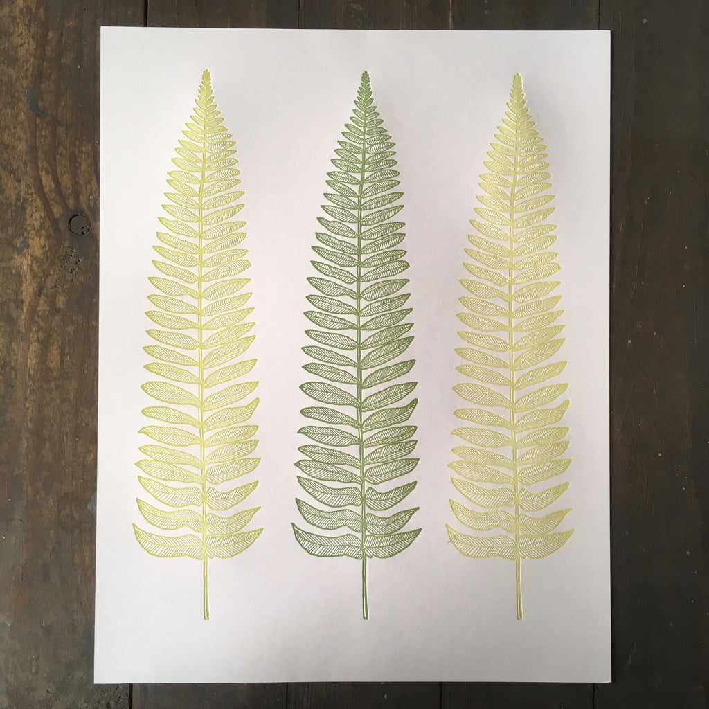 Three Ferns - Print